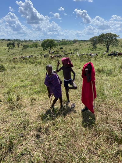 Three young individuals are in a grassy field under a blue sky with clouds. One wears a red garment, another a red head covering and black shorts, and the third a checkered shirt. They are standing, possibly herding goats or sheep visible in the background. Two individuals have sticks in their hands. The setting appears to be rural.