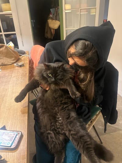 A woman wearing a black hooded sweatshirt is holding a large, long-haired, grey cat. The woman is looking down at the cat. The cat is looking at the camera. They are inside, near a wooden table with a silver tin and other small objects on it. A bag hangs off the edge of the table. A door or large window with multiple panes of glass is visible in the background. Based on the appearance of the silver tin labeled "CISE Timbre fiscal", the image was taken in France, and given the location in the request, the location is likely Lourmarin, France.