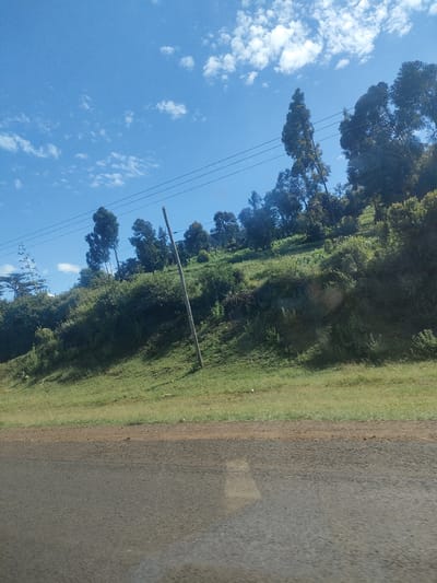 The image depicts a roadside scene in Kibirichia Ward, Kenya. A paved road occupies the lower portion of the frame. Adjacent to the road is a grassy slope leading upwards. The slope is covered with green vegetation, including grass, bushes, and trees. A wooden utility pole stands on the slope, with power lines extending across the top of the image. The sky is blue with scattered white clouds. The weather appears to be sunny. No people are visible.