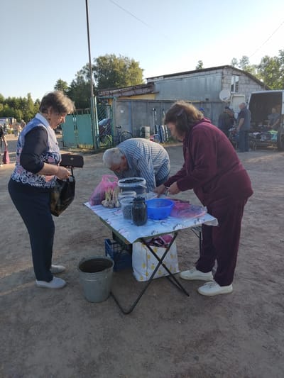 The image depicts an outdoor market scene, possibly in Irshansk, Ukraine, with several individuals interacting around a makeshift stall. In the foreground, a woman in a blue patterned vest and dark pants stands holding a purse and a shopping bag, facing a table. To her right, a man in a striped shirt is bent over the table, appearing to examine or handle produce. A woman in a burgundy tracksuit is also at the table, engaged with items. The table is laden with containers of dark berries, what appear to be heads of garlic, and a blue bowl. Behind the stall, other people and vehicles, including a white van with its rear open, are visible, suggesting a bustling market environment. The ground is dirt and gravel, and the background shows trees and buildings.