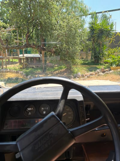 The image is taken from the driver's seat of a vehicle, looking out at a sunny outdoor environment. The dashboard of the vehicle is visible, with a steering wheel, gauges, and the "LAND ROVER" logo on a lever. Outside the vehicle, a body of water with rocks along its edge is present, as well as green grass and trees. In the background, there is a rustic wooden structure, a vintage-looking vehicle, and a fence. The overall scene suggests a safari park or zoo setting, possibly in Fasano, Italy, given the mention of a Land Rover, commonly used for such excursions.