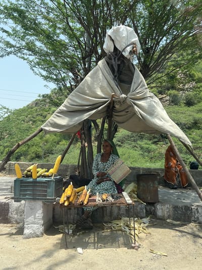 An elderly woman sits at a roadside stall in Ajmer, India, selling corn. She is wearing a traditional green and white patterned dress and a green headscarf. She holds a woven fan in her right hand. In front of her, corn is displayed on a crate and a metal table. Some ears of corn are on display, while others appear to be for sale. Behind her, a rustic shelter is made from fabric stretched over wooden poles. The backdrop is a hilly, vegetated landscape under a bright, clear sky. The scene suggests a typical rural or semi-urban setting in India.