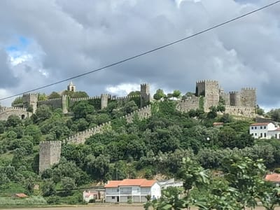 The image shows the Castle of Montemor-o-Velho in Portugal, situated atop a hill. The castle walls and towers, made of stone, are prominent. The hill is covered in dense green vegetation. At the base of the hill, several houses are visible, primarily white with red tiled roofs. Above the castle, the sky is filled with grey and white clouds. An electrical wire is stretching across the top portion of the image. The foreground includes out-of-focus greenery, suggesting the photo was taken from a lower vantage point across from the hill.