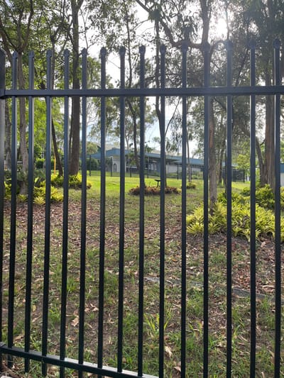 A bright, sunlit outdoor scene is viewed through a black metal fence. The fence is composed of numerous thin vertical pickets and thicker horizontal rails, obscuring parts of the background. The sun creates a strong glare and bright highlights through the leaves of a large tree positioned in the upper left quadrant of the frame.

Beyond the fence, the landscape features an expanse of ground covered with a mix of green grass, dried leaves, and exposed dirt. Various trees with leafy canopies and visible trunks are scattered throughout the mid-ground, some appearing tall and mature. Patches of vibrant green and yellow-green shrubbery or ground cover plants are also visible among the trees and on the ground.

In the farther distance, partially visible through the foliage and fence gaps, are structures or buildings with light-colored, possibly blue or grey, roofs and facades. The scene is static, with no discernible activity or people. The bright lighting suggests it is daytime under clear skies. There is no visible text in the image. The setting appears to be a park, a large yard, or a public space in a location like Riverhills, Australia, consistent with the bright, clear weather and vegetation type.