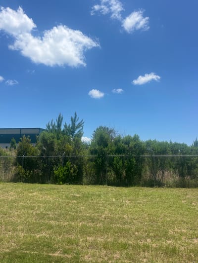 An outdoor, ground-level, medium shot captures a grassy field in front of a chain-link fence. Beyond the fence, a dense line of green trees and bushes stretches horizontally across the frame. Behind the foliage, a long, low-lying building with a dark green roof and light gray walls is partially visible. The sky above is a clear, bright blue, dotted with several fluffy white clouds. The scene appears to be located in Pooler, United States of America. The image is sharp and well-lit, with natural sunlight illuminating the landscape.