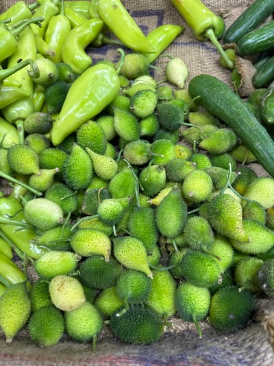 A top-down, eye-level shot captures a vibrant display of fresh produce on a burlap surface. In the foreground and center, a large pile of spiny, green gourds dominates the frame, their textured surfaces catching the light. Interspersed among the gourds are several pale green chili peppers, some with curved stems. To the right, a long, dark green cucumber rests partially within the frame, with more cucumbers visible behind it. A few additional green chili peppers are visible in the upper left quadrant of the image, and a single fly is perched on one of the chili pepper stems. The burlap texture of the surface suggests an outdoor market or a rustic display setting. The image provides a close-up view of the produce, highlighting its freshness and natural forms. The location is identified as Kodagoda, Sri Lanka.