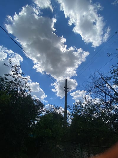 The image shows a view looking upwards at a bright blue sky filled with large, white, fluffy cumulus clouds. Several dark power lines stretch diagonally across the frame. In the foreground, the tops of dark green leafy trees and bare branches of a deciduous tree are visible, silhouetted against the sky. A utility pole with insulators stands vertically near the center of the image. A chain-link fence runs along the bottom edge. The scene appears to be an outdoor area, possibly a backyard or a street in a residential area of Akhtyrskiy, Russia, given the presence of utility poles and vegetation. There are no people or animals visible in the image. The lighting suggests it is daytime, with sunlight illuminating the clouds.