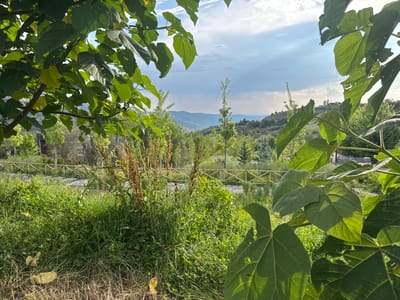 The image depicts a serene landscape framed by lush green foliage in the foreground. In the mid-ground, a wooden fence separates a grassy area with wild plants from a more cultivated space, possibly a park or garden, with paved walkways and young trees. Beyond this, rolling hills stretch into the distance under a partly cloudy sky, with hints of urban development visible in the far distance. The scene suggests a natural setting within or near a city, offering a peaceful vista. The presence of a fence and walkways indicates human presence and land management, suggesting the location is a public space designed for recreation or enjoyment of nature. The overall impression is one of tranquility and a harmonious blend of nature and human activity.