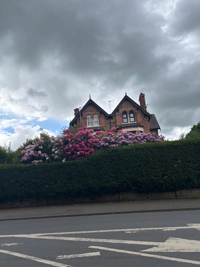 The image shows a residential street in Knutsford, United Kingdom. A two-story brick house with a steeply pitched roof is visible. The house is partially obscured by a tall, manicured hedge adorned with blooming rhododendrons in shades of pink and purple. The sky is overcast with dark, looming clouds, but patches of blue sky are visible behind the rhododendrons. To the right of the hedge is an asphalt road with white painted road markings. There are no people visible in the scene.