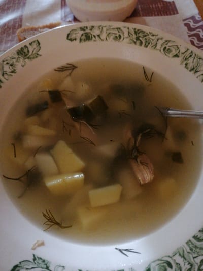 A close-up shot captures a white bowl filled with a light-colored soup, likely a broth-based dish. The soup contains visible pieces of potato, some dark green leafy vegetables, and possibly some meat. Sprigs of dill are scattered throughout the soup and on the rim of the bowl. A metal spoon is partially submerged in the soup on the right side of the image. The bowl has a decorative green floral pattern around its rim. The soup appears to be served on a checkered tablecloth, with a piece of bread visible in the upper left corner. The overall impression is a home-cooked meal, possibly in a casual dining setting. The lighting is somewhat dim, suggesting an indoor setting, and the focus is sharp on the soup and bowl, with the background slightly blurred. There is no visible text in the image.