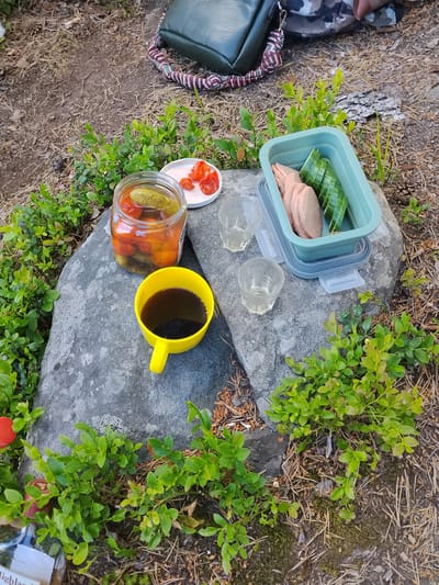 An overhead shot shows a picnic spread on a large, grey rock, surrounded by low-lying green bushes and pine needles. On the rock, there's a yellow mug filled with dark liquid, likely coffee, positioned to the left of a glass jar containing pickles and what appear to be pickled cherry tomatoes. To the right of the jar, on a small white plate, are several pickled cherry tomatoes. Next to these, two small, hexagonal glass tumblers are visible. Further to the right, a light blue plastic food container holds several slices of pink sausage and sliced cucumber. Behind the food items, a green bag with a camouflage pattern and a braided strap rests on the ground. The environment suggests an outdoor setting, possibly a forest clearing, consistent with the surroundings of Kemijärvi, Finland. No people are visible in the frame.