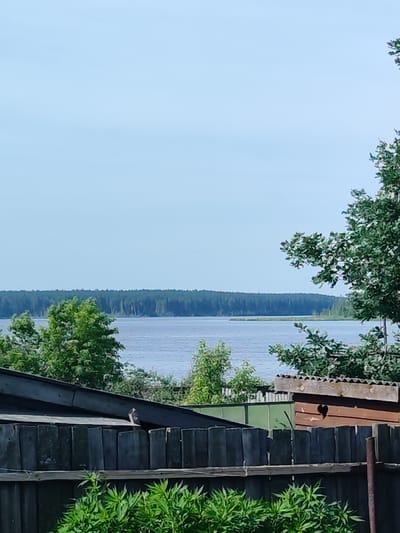 The image depicts a scene in Заводоуспенское, Russia. In the foreground, a weathered wooden fence runs horizontally across the lower portion of the frame. Behind the fence, lush green foliage grows densely. Beyond the immediate foreground, a body of water, likely a lake or river, stretches across the middle ground. The water is a muted blue, with subtle ripples on its surface. A distant treeline, dense with dark green coniferous trees, forms the horizon. The sky above is a clear, pale blue with no visible clouds. To the right of the frame, a rustic wooden structure, possibly a small shed or outbuilding, is visible. This structure has a pitched, corrugated roof and a small, heart-shaped opening cut into its side. The overall impression is of a quiet, natural landscape viewed from a residential area.
