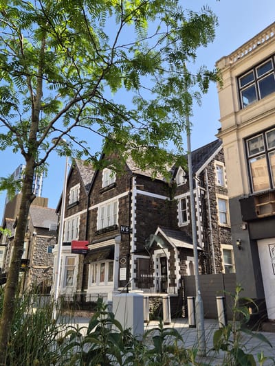 A sunlit, ground-level shot shows a street scene in Cardiff, United Kingdom. In the foreground, the trunk and foliage of a tree obscure parts of the buildings. Midground reveals a distinctive building with dark stonework, white trim, and multiple windows, identified by a sign as "No. 6 Hair & Beauty Salon" with an additional sign for "Sea Auctions." A streetlight is visible, running vertically, along with tall grass and foliage to the right. Other buildings are also visible, including one directly above the main building with a black and white facade. The sky is clear and blue.