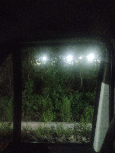 The image shows a nighttime scene viewed through a car window. In the foreground, the dark interior of the vehicle is visible, with a portion of a white car door on the right side. Through the window, a dense, green foliage of trees and bushes occupies the middle ground. Above the foliage, several bright, artificial lights are illuminating the scene, suggesting a public area like a park or a street with outdoor lighting. The overall impression is one of an urban or semi-urban environment at night, possibly a roadside view of a park or a landscaped area. There is no visible text in the image. The time of day is clearly night, and the weather appears clear as the lights are bright and unhindered by fog or rain. The location context suggests Tamarisi, Georgia.