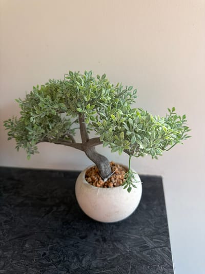 A close-up, vertical shot showcases a small, artificial bonsai tree against a neutral, light-colored wall on the left and a dark, textured surface on the right. The bonsai tree has a thin, brown trunk that branches out, supporting clusters of small, light green leaves. The tree is planted in a round, white planter that appears to be made of ceramic or a similar material. The planter is filled with small, brown pebbles. The dark surface on the right has a rough, wood-grain-like texture and appears to be a piece of furniture or a decorative panel. The lighting is soft, suggesting an indoor setting, possibly a home or office. There are no people or animals visible in the image, and no text is present. The focus is entirely on the artificial plant and its immediate surroundings. The scene appears to be static, with no activity taking place. The overall impression is one of simple, minimalist decor.