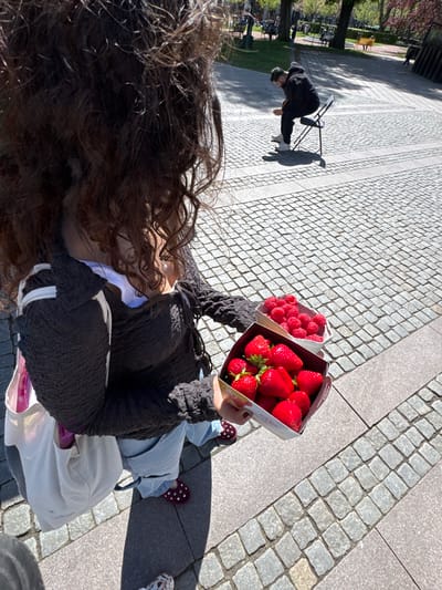 The image captures an overhead view of a person holding two containers of fresh berries, likely strawberries and raspberries, on a cobblestone-paved area. The person has dark curly hair and is wearing a black textured top, jeans, and patterned slip-on shoes. A white bag rests on their lap. In the background, a figure is bent over near a chair, potentially engaged in some activity. Further in the background, there is a green space possibly containing a cemetery. Given the architectural details and layout, the location is likely a public space in Malmö, Sweden.