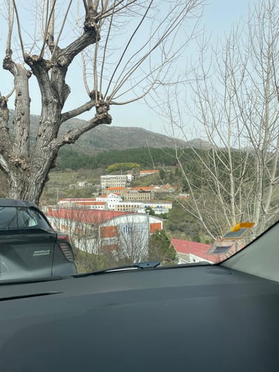 The image depicts a panoramic view of the city of Covilhã, Portugal, observed from the interior of a stationary vehicle. The foreground is occupied by the dark gray dashboard and lower portion of the windshield, with two windshield wipers visible. A partially obscured yellow sticker or permit is affixed to the right side of the windshield.
To the immediate left, a large, bare deciduous tree with prominent gnarled, pollarded branches dominates the left side of the frame. Its trunk is thick and textured. To the right of the large tree, a cluster of slender, bare deciduous trees with finer branches is visible.
A dark gray MG4 Electric hatchback vehicle is parked ahead and to the left of the viewpoint, with its rear section and "MG4 ELECTRIC" badging partially visible above the dashboard.
Beyond the immediate foreground, the terrain descends, revealing a landscape of buildings typical of Covilhã's hilly structure. Numerous structures with red or orange-tiled roofs are present, along with several larger multi-story buildings featuring white or cream-colored facades. One prominent multi-story building with numerous windows and a classical architectural style is visible in the mid-distance, likely a former textile factory or university building. Other buildings appear to be of industrial or residential character.
The background is dominated by a range of hills and mountains, heavily forested with evergreen trees. The sky above is a pale, hazy blue. No individuals are visible within the frame, and no specific actions or interactions are depicted. The scene suggests a late winter or early spring setting due to the bare deciduous trees.