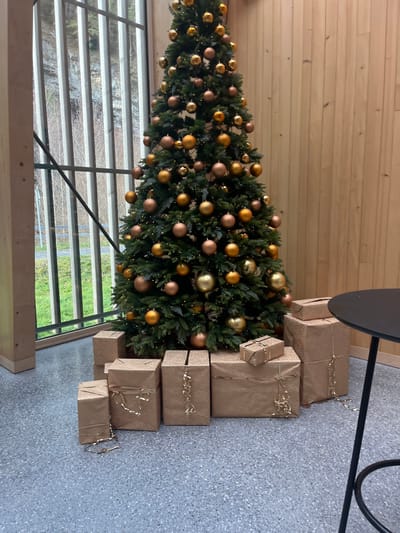The scene depicts an indoor area, likely a public or communal space, located in Erstfeld, Switzerland. A large, artificial Christmas tree, approximately 3-4 meters tall, stands centrally. The tree is densely decorated with numerous spherical ornaments in varying shades of metallic gold and matte bronze/copper, interspersed with small, illuminated warm white string lights.
Arranged around the base of the Christmas tree are approximately ten to twelve rectangular and square packages, wrapped in plain brown kraft paper. Several of these packages are adorned with thin gold ribbons or tinsel-like metallic gold strings, some appearing loosely draped or partially unwrapped.
The interior environment features a grey, speckled floor, possibly terrazzo or polished concrete. The wall to the right of the tree is clad in vertical, light-colored wooden planks. To the left, a large window spans most of the wall height, framed by light-toned vertical and horizontal architectural elements, revealing an exterior view. Beyond the window, a rugged, vegetated rocky hillside is visible, populated by bare deciduous trees or shrubs. A portion of a round, black table with a black metal pedestal base is visible on the far right of the frame. No individuals are present in the scene, and no specific actions or interactions are depicted.