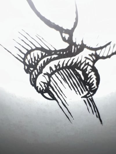 The image is a black and white drawing of a knot. The knot appears to be made of rope and is depicted in detail, with lines representing the texture and thickness of the rope. The drawing is set against a bright, white background, which suggests it might be a sketch or an illustration. There is no discernible location or context in the city of Letterkenny, Ireland, as the image is abstract and lacks any identifiable landmarks or setting.