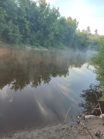 The image depicts a serene riverside scene at dawn, likely in Koziivka, Ukraine. The water is calm, with a gentle mist rising from its surface, reflecting the lush green trees lining the opposite bank. Several fishing rods are set up along the muddy shore in the foreground, indicating an activity of leisure. The lighting suggests early morning, with soft light filtering through the trees and a clear sky overhead. The environment is natural and tranquil, with no people visible in the frame, allowing the viewer to focus on the peaceful landscape and the implied presence of anglers.