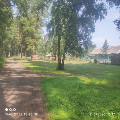 The image depicts a tranquil outdoor scene in the village of Bayunovskie Klyuchi, Russia. In the foreground, a dirt path curves to the left, bordered by lush green grass on the right. The path appears to be shaded by the dense canopy of trees that dominate the landscape.
Further into the scene, several buildings are visible. To the right, a light-colored, single-story house with a grey, corrugated roof stands prominently. The house has several windows and appears to be painted a light green color. Adjacent to it, a darker, possibly wooden structure is partially visible. Behind the house, a light brown, wooden fence can be seen, and further back, more trees and vegetation create a natural backdrop.
In the center of the image, a large birch tree with its distinctive white and black bark stands out against the background. The overall environment suggests a rural or semi-rural setting, likely a residential area within the village, characterized by natural greenery and modest housing. The sky above is a pale blue, indicating daytime. The image also includes a timestamp "21.07.2026 15:17" in the bottom right corner, and the text "XIAOMI 11 LITE 5G NE" with three circular dots in the bottom left, indicating it was taken with that device.