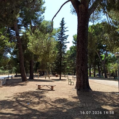 The image depicts a park scene in Grumo Appula, Italy, on July 16, 2026, at 14:38. The foreground is dominated by a large tree trunk casting a shadow across dry, pine-needle-covered ground. A wooden bench is visible in the left foreground, with another bench further back. Several other benches and chairs are scattered throughout the park. In the mid-ground, a children's swing set with two swings is set up. A paved path runs horizontally across the mid-ground, with more trees lining the sides. In the background, there are more trees and some buildings. The sky is clear and blue. A single piece of blue trash is visible on the ground in the mid-foreground.