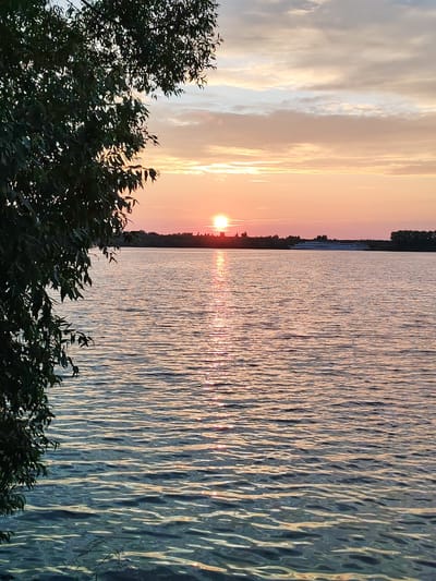 A serene sunset casts a warm glow over a wide river, likely the Klyazma, near Selivanovo, Russia. The sun, a bright orange orb, is low on the horizon, its light reflecting in a shimmering path across the water's surface. The sky is a canvas of soft pinks, oranges, and pale blues, with scattered clouds adding texture. Silhouetted against the vibrant sky is a distant treeline, and a long, white passenger ship sails on the water. In the foreground, on the left side of the image, a large tree with dark green leaves partially obscures the view, its branches reaching out towards the river. The water itself is rippled, with the light catching the crests of the waves, creating a dynamic and beautiful scene.