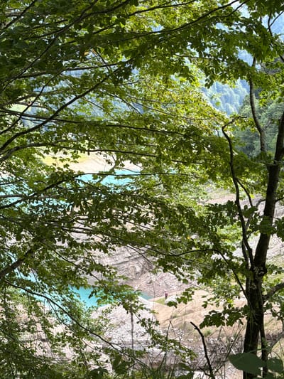 The image shows a view through dense green foliage of trees in the foreground, looking out onto a natural landscape. In the middle ground, there is a body of turquoise water, likely a lake or river, bordered by steep, rocky terrain. The water's edge appears to be a pale, sandy color, contrasting with the vibrant blue of the water and the green of the surrounding vegetation. In the distance, rolling hills covered in trees are visible, with a hazy, blue sky overhead. A single person, small in the frame, is standing near the water's edge on the rocky shore. The scene is indicative of a natural, possibly mountainous, environment. Given the description of the location as Ampezzo / Dimpeç, Italy, the scene likely depicts a natural reservoir or a section of the Cadore region's mountainous terrain, known for its lakes and rugged landscapes.