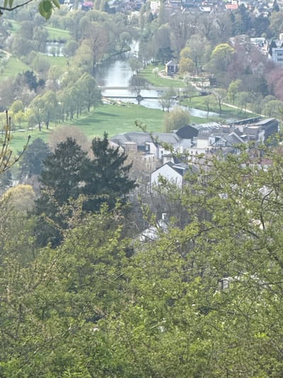 The image shows an elevated, hazy view of the city of Diekirch, Luxembourg, focusing on a park and waterway, likely the Sauer River. On the left side of the image, a line of trees borders a green area, with a body of water reflecting the sky. Buildings are visible in the background on the left, suggesting residential or commercial structures. In the middle of the image, structures with white roofs and darker colored walls are interspersed with green spaces. The foreground is dominated by foliage, with the right side of the image almost entirely filled by tree branches and leaves, obscuring parts of the scene. The overall impression is that the image was taken from a high vantage point, possibly a hillside or building overlooking the city.