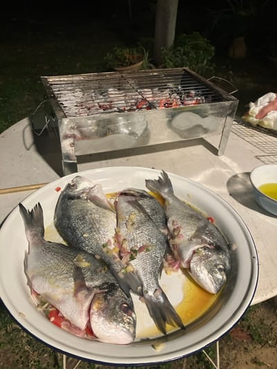 An outdoor night scene in the Brener Regional Council, Israel, depicts a culinary setup for grilling fish. In the foreground, a white enamel platter with a blue rim holds four whole, cleaned fish, likely sea bream, horizontally arranged and partially submerged in a yellow-orange marinade. The fish are seasoned with visible chopped red onion and green herbs. Directly behind the platter, a rectangular stainless steel charcoal grill glows with red and white hot charcoal briquettes beneath its grate. To the right of the grill, on a light-colored outdoor table surface, a small, light-blue bowl contains a yellow liquid, presumably oil or marinade. A human hand, positioned in the far right midground, holds a white cloth or paper towel next to a wire cooling rack. The background is dark, with dimly visible green foliage and a concrete pillar, indicating an outdoor garden or patio environment. Artificial light illuminates the foreground elements, highlighting the prepared fish and the hot grill.