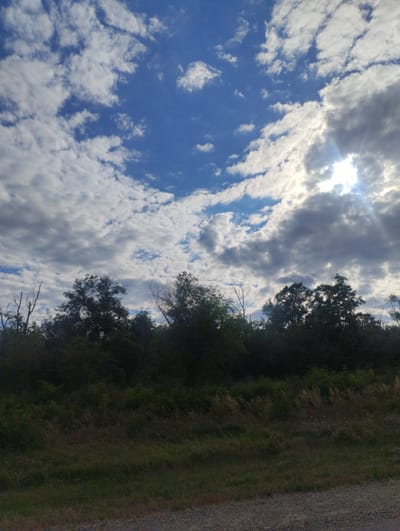 This vertical, medium-shot photograph captures a natural scene with a focus on the sky and a treeline. The upper two-thirds of the image is dominated by a dynamic sky filled with a mix of white, fluffy cumulus clouds and darker, more ominous grey clouds. Streaks of sunlight break through the clouds on the right side of the frame, creating a slightly hazy effect and indicating the sun is either rising or setting. The blue sky is visible in patches between the clouds.
The lower third of the image depicts a silhouetted treeline, forming a dark barrier against the sky. The trees are dense and appear to be a mix of deciduous and possibly some evergreens, with some bare branches of dead trees also visible among the foliage. Below the treeline, a grassy area with dry, tall grass and scattered wildflowers transitions into a rough, gravelly surface in the foreground, suggesting a roadside or pathway.
The overall impression is one of a natural landscape, likely in a rural or undeveloped area. The lighting suggests it's either early morning or late afternoon. The weather appears to be changeable, with both sunny and cloudy conditions present. There are no people or objects in the frame, and no visible text. The scene evokes a sense of peaceful solitude or the quiet beauty of nature. Given the location context of Donskoe, Russia, this could be a common view in the countryside during the warmer months.