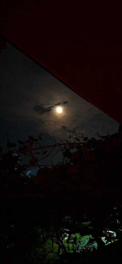 The image depicts a nighttime scene, dominated by darkness with a bright full moon partially obscured by clouds. The moon is situated in the upper left quadrant of the sky. In the foreground, silhouetted against the sky and moon, are branches and leaves of foliage, suggesting a natural setting. A dark, possibly red, structure or overhang is visible along the top edge of the frame, casting shadows. The lower part of the image is very dark, showing indistinct shapes that could be trees or other vegetation, with faint green light suggesting artificial illumination or reflected moonlight in the background. The scene appears to be outdoors. There are no people or specific identifiable landmarks visible that would indicate the city of Pkhvenisi, Georgia.