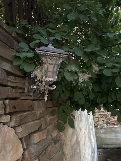 An old, ornate metal wall lamp is mounted on a textured brick wall, partially obscured by lush green foliage. The lamp, with its intricate scrollwork and weathered finish, appears to be made of dark metal. Delicate, wispy seed pods from a nearby plant are caught on the lamp and its mounting bracket, adding a touch of organic detail. The brickwork beneath the lamp is rough and uneven, with stones of varying sizes and colors, giving the impression of an aged structure. To the right of the wall, a pathway is visible, paved with large, light-colored stones that reflect the ambient light. Further back, a stone wall rises, hinting at a courtyard or a passage. The overall scene suggests an outdoor setting, possibly in a historical or rustic location, given the style of the lamp and the stone construction. The lighting is diffused, suggesting it might be overcast or late in the day, but there are no strong shadows. There is no visible text in the image. The location context of Myskhako, Russia, aligns with the visual cues of older architecture and natural surroundings.