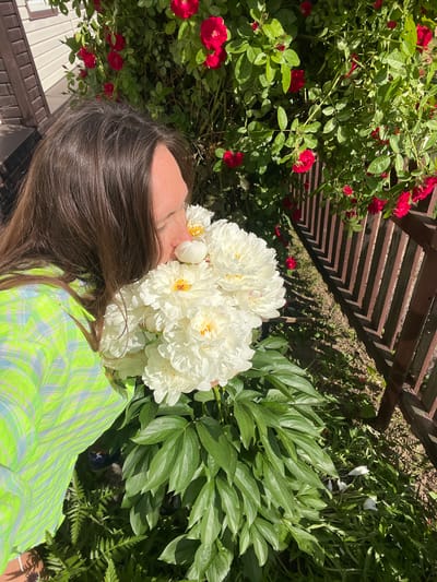 A woman is lying down with a large bouquet of white peonies in front of her face. She is wearing a bright green and blue plaid shirt. Her long, dark hair is spread out around her. To her left, a bush of vibrant red roses is in bloom, with green leaves and some buds visible. Behind the roses, there is a wooden pergola with a slatted roof, casting shadows on the ground. The ground appears to be dirt and grass, with some greenery and fallen petals. To the right of the peonies, more lush green foliage from the peony plants is visible. The scene is outdoors, suggesting a sunny day given the strong shadows and bright lighting. The overall mood appears to be one of peaceful enjoyment of nature and flowers. The image is oriented in a way that the woman's head is towards the bottom left of the frame and the flowers are in the center and top right. There is no visible text in the image.