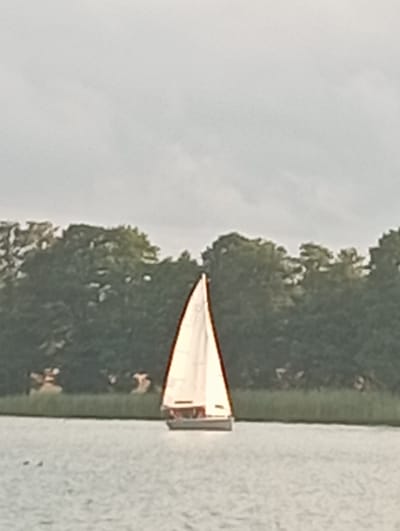 An overhead view captures a single white sailboat with a tan trim sailing on a calm body of water, possibly a lake or river. The sailboat has a main sail and a jib, both inflated by the wind. The boat appears to be moving towards the right of the frame. In the background, a dense line of lush green trees forms a backdrop, with a slightly overcast sky above. The water's surface is smooth, with a subtle texture indicating gentle ripples. The image is taken from a distance, with the overall scene appearing slightly out of focus, particularly the trees in the background, suggesting a possible telephoto lens was used or the image was captured from a moving vehicle. There are no discernible landmarks or buildings that would specifically identify this location as Mołowiste, Poland.