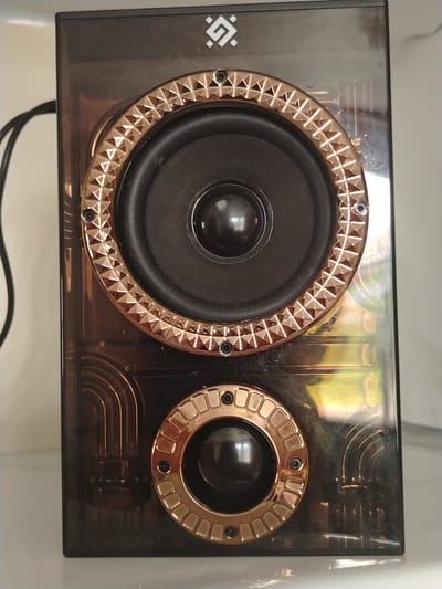 A black speaker with gold accents is placed on a white surface. The speaker has two circular openings, each with a gold-colored decorative ring. The top opening contains a speaker cone, and the bottom opening appears to be a passive radiator. The speaker's casing is transparent, revealing internal components and a patterned design. A black cable is visible on the left side of the speaker. The background is a plain, light-colored wall. There is no visible indication of the speaker's location in the city of Лычково, Russia.