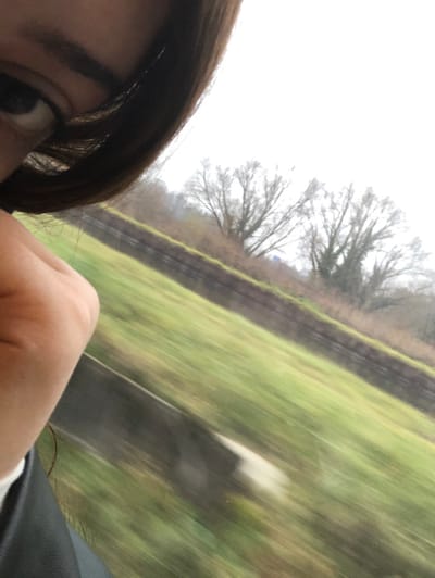 The image presents a diagonally angled view from inside a moving vehicle overlooking a landscape in Steinbourg, France. On the left side of the frame, a partial depiction of a person is visible: specifically, a section of their right eye with a dark pupil and eyeliner, a dark eyebrow, and strands of dark brown hair. Below this, a light-skinned hand, appearing partially clenched, is visible. A dark, possibly black, fabric and a small white detail are discernible at the bottom-left. The exterior landscape, significantly impacted by horizontal motion blur, indicates rapid movement relative to the viewer. This landscape features an overcast sky in the upper-right quadrant. Below the sky, several bare deciduous trees with dark branches are visible, some exhibiting clinging vegetation. A prominent green grassy slope, showing strong horizontal motion blur, occupies the mid-ground and lower-right of the scene, traversed by a dark, earthen band or embankment running diagonally. A faint blue object is visible among the distant trees, and a light-colored object is present on the blurred grassy slope.
