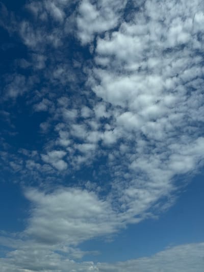The image depicts a bright blue sky filled with scattered white clouds. The clouds vary in size and density, with some appearing wispy and thin, while others are more rounded and voluminous. The overall impression is of a clear day with fair weather conditions. There are no visible landmarks, buildings, or people in the image, suggesting it is a view of the sky from an open area. The location provided, Rajana, Bulgaria, is a residential neighborhood in Sofia.