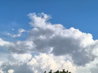 This media file captures a dynamic sky over Dillingen an der Donau, Germany. The scene is dominated by a vast expanse of blue sky, filled with a variety of clouds. Large, fluffy white cumulus clouds are prominent in the lower half of the frame, some appearing bright and sunlit, while others are casting shadows, giving them a gray and textured appearance. Higher up, darker, more ominous storm clouds are visible, suggesting changing weather.
A thin, white contrail from an airplane can be seen streaking across the upper right portion of the sky, a subtle indication of human activity. The very bottom edge of the image shows the tops of dark green trees, silhouetted against the bright clouds, providing a sense of place and grounding the aerial view.
The lighting suggests it is daytime, likely late morning or afternoon, given the brightness of the sunlit clouds and the blue of the sky. The presence of both bright and dark clouds indicates a day with mixed weather, possibly transitioning between sunshine and approaching rain. There is no visible text in the image. The overall mood is one of natural grandeur and the ever-changing character of the sky.