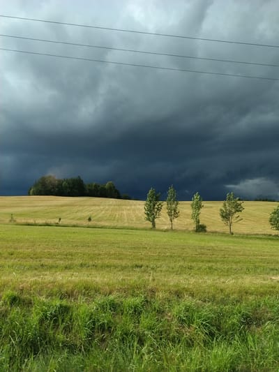 A photograph captures a rural landscape under a dramatic, dark storm cloud. In the foreground, a vibrant green field of grass transitions into a lighter, mown field. Beyond this, a rolling hill is covered in a golden, mown field with a line of trees forming a darker band on its crest. In the mid-ground, a row of tall, slender trees stands against the ominous sky. Three thin, dark electrical wires stretch horizontally across the upper portion of the frame, silhouetted against the turbulent clouds. The scene is devoid of human presence. The weather suggests an approaching storm. The image location is Ježená, Czechia.