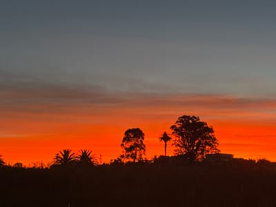 An orange and red sunset fills the sky above a dark, silhouetted landscape. The horizon line features palm trees, bushes, and other trees. A soft gradient transitions from orange to grey in the upper portion of the sky. The orange glow creates a stark contrast with the dark foreground. A few structures, including what appears to be an RV, are vaguely visible on the horizon.