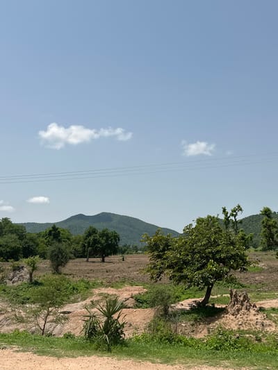 An outdoor, eye-level, vertical, full shot captures a rural landscape under a bright, clear sky with a few wispy white clouds. In the foreground, a dirt path leads into the frame from the bottom. To the left, green grass and a small, leafy tree are visible. The middle ground features dry, brown earth interspersed with patches of green vegetation. A distinctive, large termite mound stands to the right of a prominent tree with dense green foliage. In the background, rolling green hills form a distant horizon, topped by a few more trees. Three thin, dark power lines stretch horizontally across the upper portion of the image, suggesting human infrastructure. The scene depicts a natural, undeveloped environment.