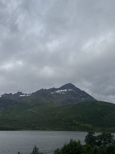 The image captures a dramatic, overcast scene of a steep, rugged mountain range in Gullesfjord, Norway. The mountain's face is primarily dark rock, with patches of lingering snow near its peak, suggesting a cool climate or a recent snowfall. The lower slopes are covered in dense, dark green vegetation, indicating a summer or early autumn setting. To the right of the mountain, a body of water, likely a fjord or lake, reflects the muted, grey light of the sky. The water's surface is rippled, hinting at a gentle breeze. In the foreground, on the far right edge of the image, the dark green branches of trees or bushes are visible, framing the scene. The sky is completely filled with thick, grey clouds, creating a somber and moody atmosphere. There is no visible text in the image. The time of day is indeterminate due to the overcast conditions, but the overall impression is one of natural grandeur and a remote, wild landscape.