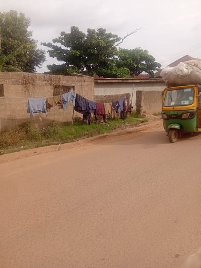 In Tundun Wada South, Nigeria, a street scene unfolds with a three-wheeled vehicle carrying a large, bulky load of what appears to be white plastic bags or similar material on its roof. The vehicle, which is yellow and green, is parked on the right side of a paved road. To the left of the road, a low, rough-hewn brick wall forms the boundary of a property. Hanging from a clothesline strung across this property are several items of clothing, including shirts and what look like shorts, in various shades of blue, brown, and dark purple. Beyond the wall, a patch of overgrown green grass and vegetation is visible. The sky above is overcast, and the overall lighting suggests it is daytime. In the background, more trees and the rooftops of some buildings can be seen.
