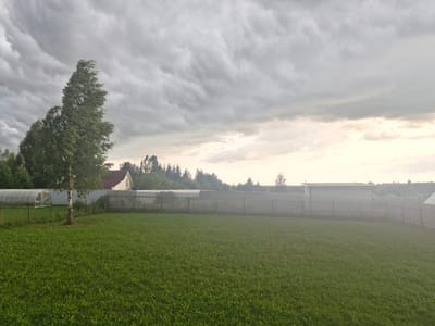 The image depicts a rural landscape under a heavily overcast sky. In the foreground, a large expanse of green grass fills the frame. To the left, a slender birch tree stands prominently, its branches swaying in the wind against the dramatic cloud formations. Behind the tree, a white house with a red roof is partially visible, nestled among a line of trees. A grey wooden fence stretches across the middle ground, separating the grassy area from what appears to be a more developed property with a greenhouse on the far left and other structures further back. The overall atmosphere is subdued, with the grey clouds dominating the sky and casting a muted light over the scene. The image was taken in the city of Aleksino, Russia.