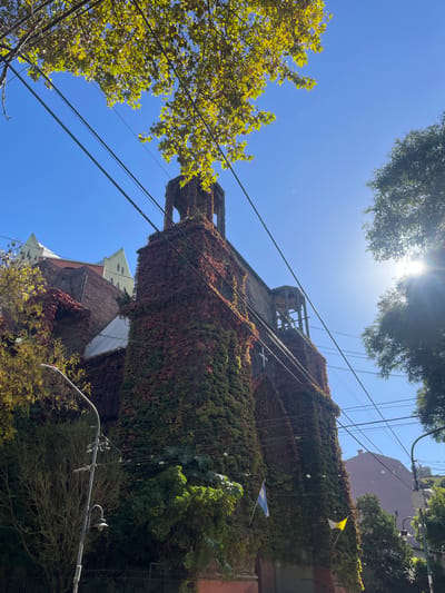 The image depicts a multi-story building in Olivos, Argentina, heavily overgrown with vines. The structure appears to be an old building with a deteriorating wooden framework on its roof. Electrical wires run across the facade and past the building. The building is covered with green and red ivy. There are two flags hanging from the building. A blue and white flag is at the bottom, and a yellow and white flag is towards the top. The sky is blue with scattered tree branches and foliage visible on either side of the building. A street lamp is in the lower right corner. Other buildings are in the background.