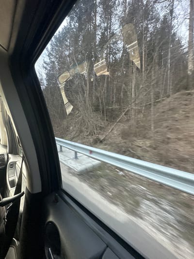 The image presents a view from inside a moving vehicle, looking outward through the side passenger window along a road in the city of Mesta, Bulgaria. The vehicle's interior elements, including dark grey door trim, a partially visible seatbelt, and control buttons, occupy the left and lower portions of the frame. Reflections on the window surface display distorted elements of the vehicle's interior, such as what appears to be part of a rearview mirror and dashboard components.
Outside the vehicle, a silver metal guardrail runs horizontally across the mid-ground, indicating a roadside barrier. Below the guardrail, a light-colored paved or concrete section is visible, leading to an expanse of dry, brown earth and sparse vegetation with some residual snow or frost. Beyond the guardrail and extending into the background, a dense forest dominates the scene. The trees are predominantly tall and slender, appearing deciduous and leafless, consistent with a late autumn or winter environment. The overall lighting is subdued, suggesting an overcast sky. Slight motion blur is present in the external landscape, particularly near the road, indicating the vehicle is in transit. No individuals are visible.