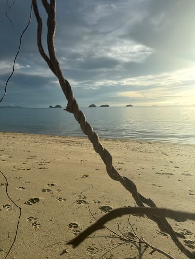 An eye-level, medium shot captures a tranquil beach scene in Baan Pang Ka, Thailand, bathed in the soft light of a setting sun. In the foreground, a thick, twisted vine dominates the frame, its rough texture and dark brown hue contrasting with the pale, sandy beach. The sand is imprinted with numerous animal paw prints, suggesting recent activity. Beyond the beach, the calm, serene sea stretches to the horizon, reflecting the pastel hues of the sky. Several small, dark islands are scattered across the water, silhouetted against the luminous sky. The sky itself is a canvas of dramatic clouds, ranging from deep gray to bright white, with the sun's rays piercing through, creating a gentle glow on the water. The overall impression is one of peaceful solitude and natural beauty.