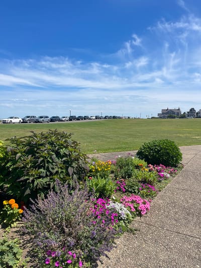 A sunny, bright day is depicted in this image taken in Oak Bluffs, USA. The camera is oriented vertically. In the foreground, a vibrant flowerbed bursts with colorful blooms, including pink petunias, purple verbena, and yellow marigolds, nestled against a textured concrete path. Beyond the flowers lies a meticulously manicured green lawn, stretching towards a row of parked cars. These vehicles are neatly lined up on the edge of the lawn, hinting at a popular parking area. In the background, a cluster of houses with distinctive architectural styles suggests a residential area or perhaps a boardwalk town. The sky above is a brilliant blue, dotted with wispy white clouds, indicative of fair weather. The overall scene evokes a sense of leisure and a pleasant outdoor atmosphere, likely during the daytime.