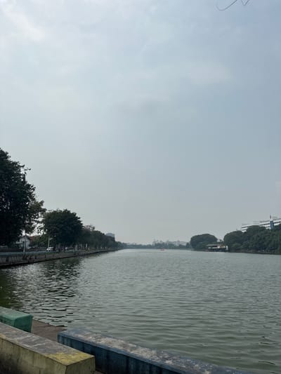 The image captures a wide view of the water and its surroundings at Taman Impian Jaya Ancol in North Jakarta, Indonesia. The foreground is dominated by a concrete embankment with large, weathered concrete blocks, some painted in green, yellow, and blue. The water of the bay is a murky green, with gentle ripples indicating a calm surface.
Along the left bank, a tree-lined promenade is visible. Several large trees with dense green foliage line the sidewalk, casting shadows on the paved area behind them. A few cars and what appear to be streetlights can be seen along this path. Buildings are visible in the distance along this bank, including a white structure with dark windows.
On the right side of the bay, more trees are present, with a multi-story white building peeking through the foliage in the mid-distance. Further in the distance, another white building with multiple floors and a prominent sign is visible. On the water, a colorful floating structure with a red, yellow, and green roof is moored near the right bank. In the far distance, several smaller buildings can be seen along the horizon. The sky is overcast and a pale gray, suggesting a cloudy day. No people are clearly identifiable in the image.